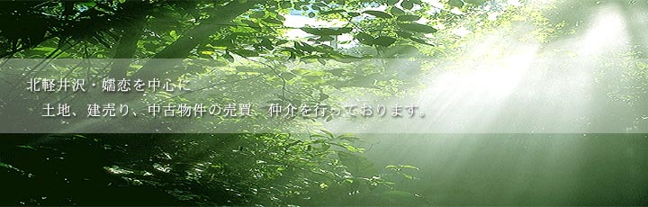 �k�y���E�ڗ��𒆐S�ɓy�n�E������E���Õ����̔����E������s���Ă���܂��B